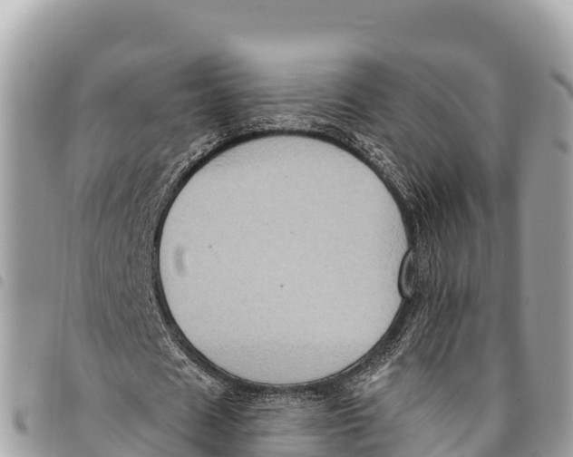 X0000094420625200711291550