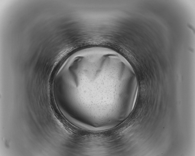 X0000094420626200711291550