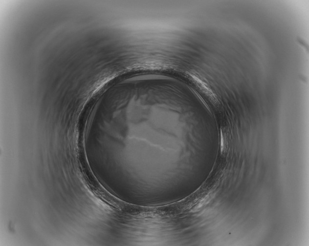 X0000094420627200711291550