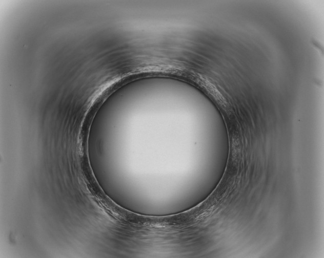 X0000094420628200711291550