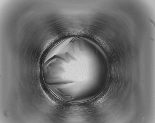 X0000094420630200711291550