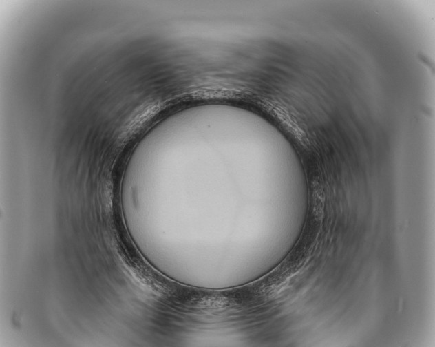 X0000094420631200711291550