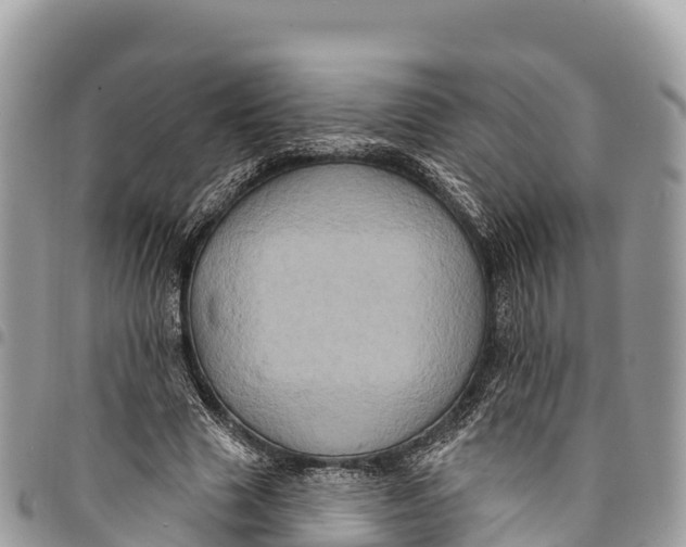 X0000094420633200711291550