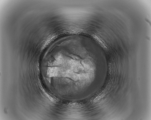 X0000094420634200711291550