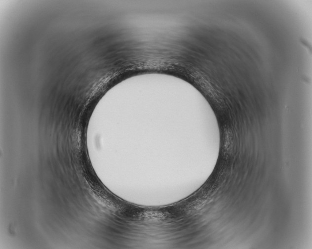 X0000094420636200711291550