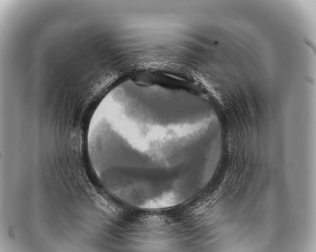 X0000094420637200711291550