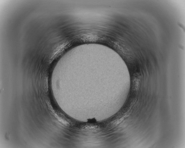 X0000094420638200711291550