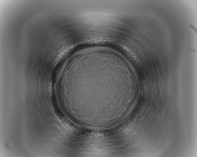 X0000094420640200711291550