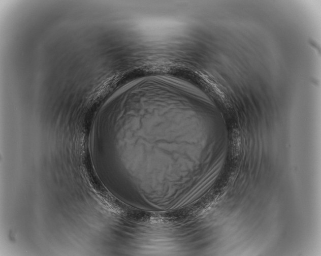 X0000094420641200711291550