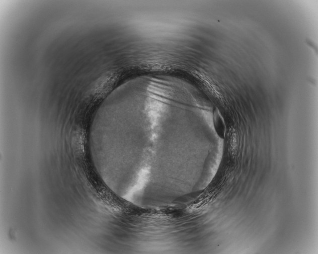 X0000094420643200711291550