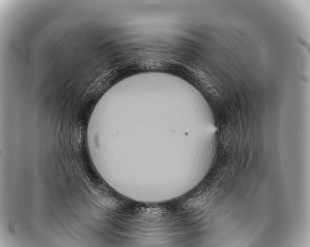 X0000094420645200711291551