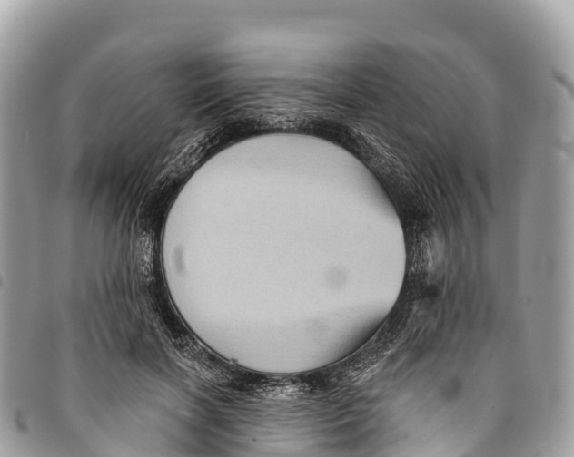 X0000094420646200711291551