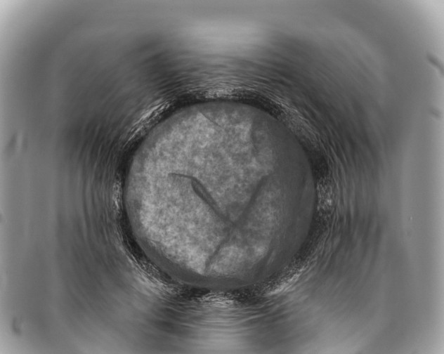 X0000094420648200711291551