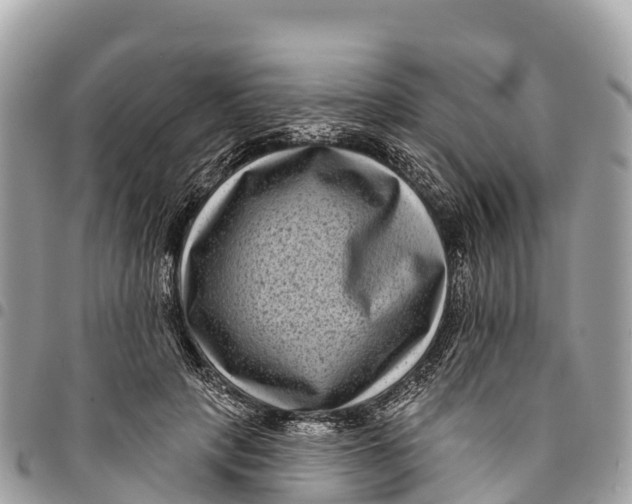 X0000094420649200711291551