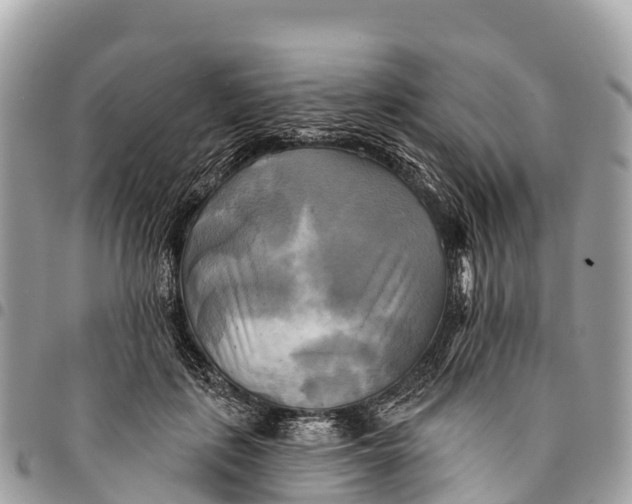 X0000094420651200711291551