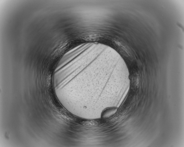 X0000094420652200711291551