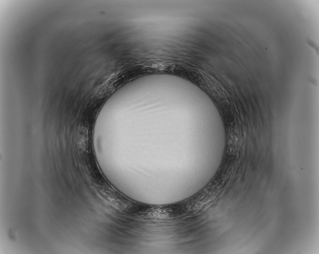 X0000094420656200711291551