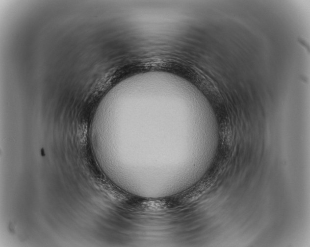 X0000094420660200711291551