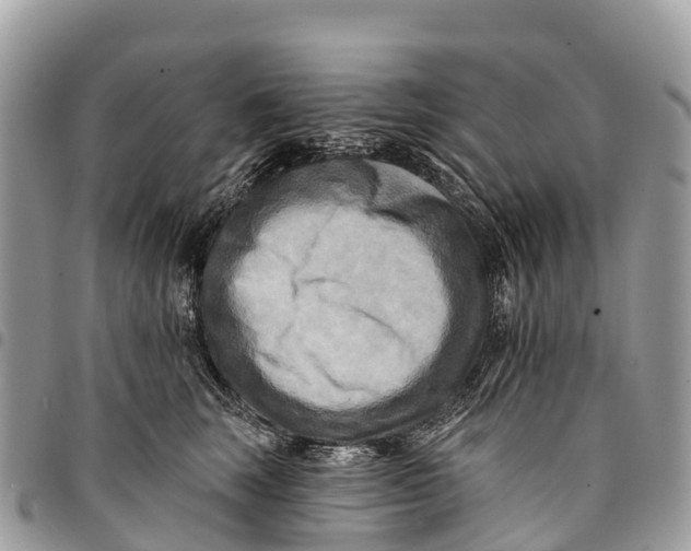 X0000094420663200711291551