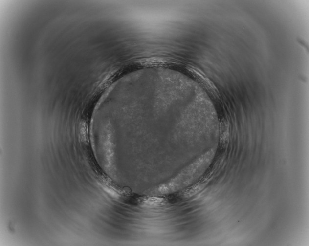 X0000094420669200711291551