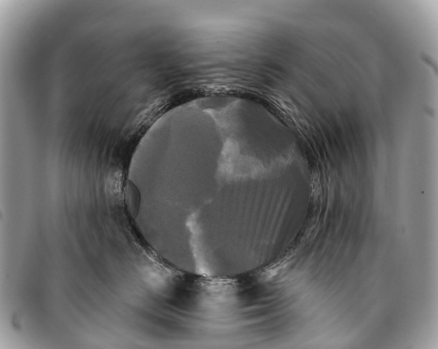 X0000094420670200711291551