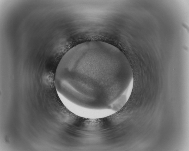 X0000094420672200711291551