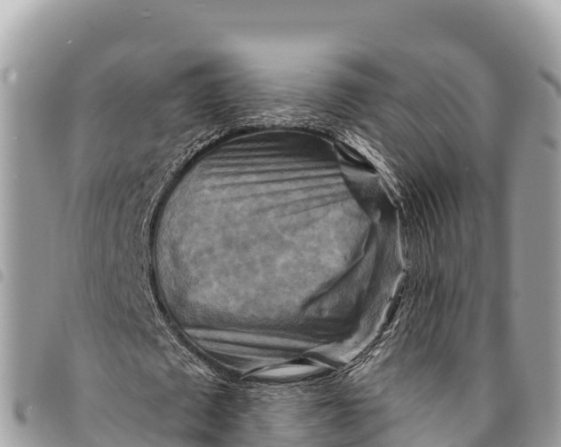 X0000094420673200711291550