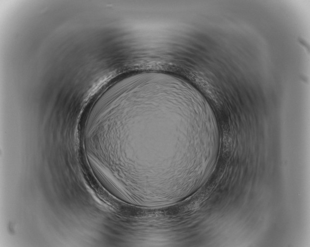 X0000094420674200711291550