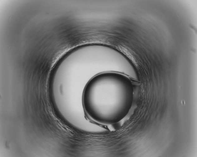 X0000094420676200711291550