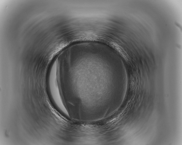 X0000094420677200711291550