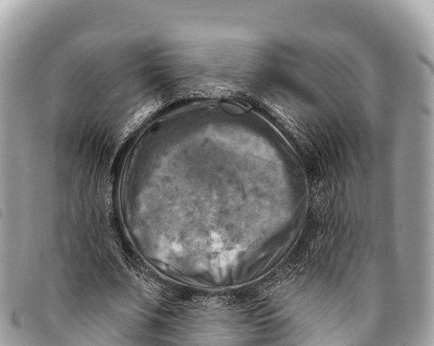 X0000094420679200711291550