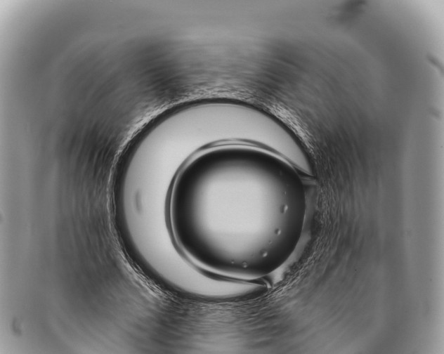 X0000094420680200711291550