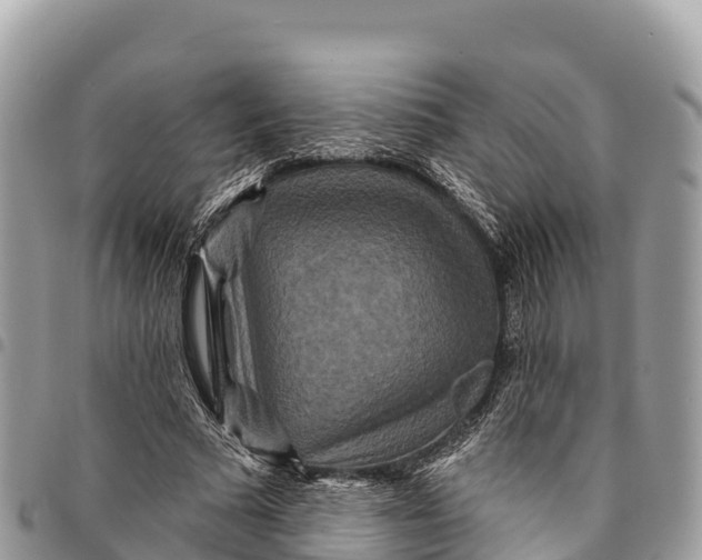 X0000094420681200711291550