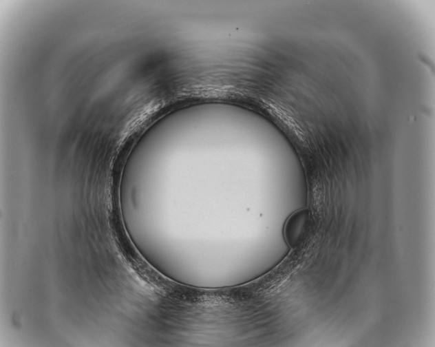 X0000094420682200711291550