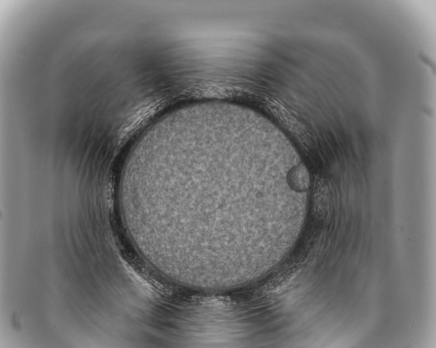 X0000094420683200711291550