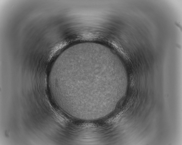 X0000094420685200711291550