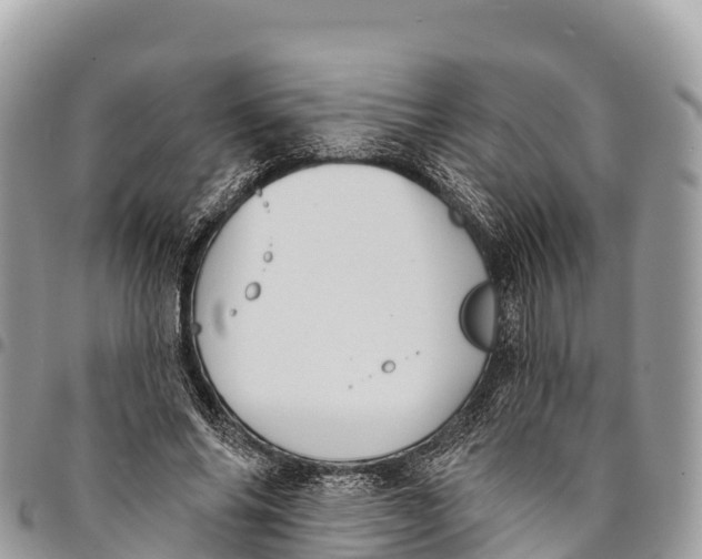 X0000094420686200711291550