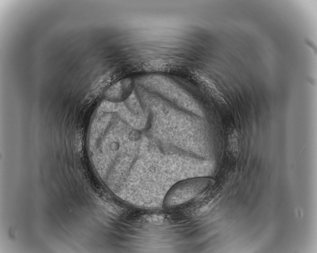 X0000094420687200711291550