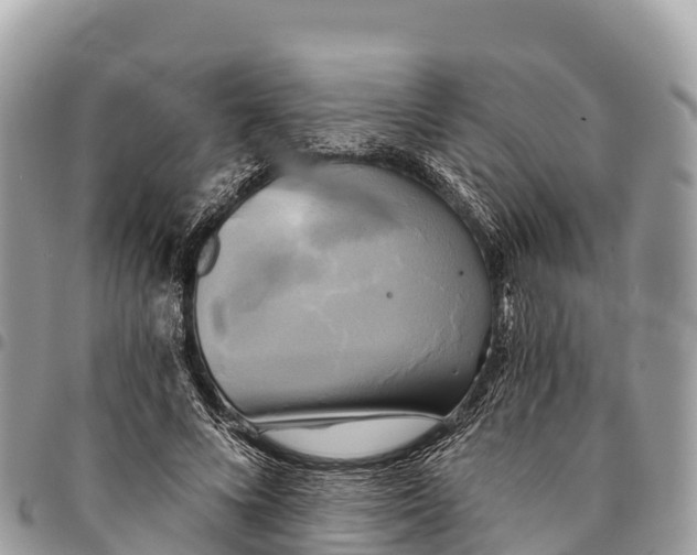 X0000094420688200711291550