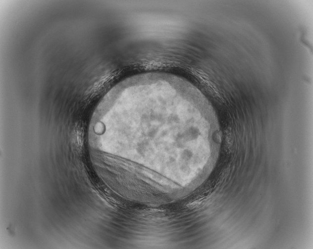 X0000094420691200711291550