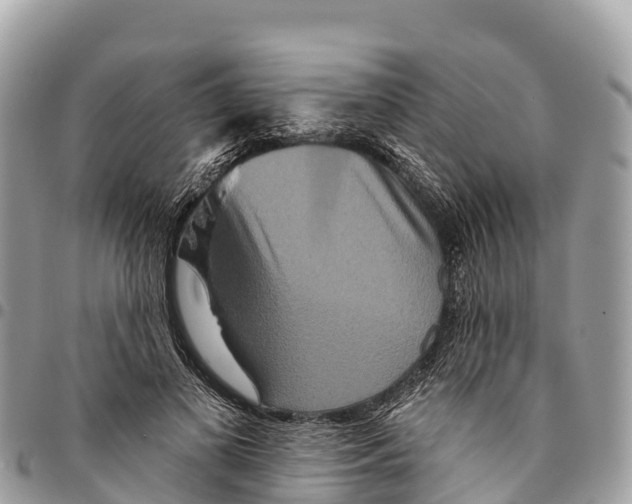 X0000094420693200711291550