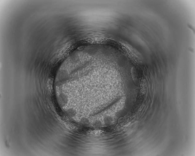 X0000094420695200711291550