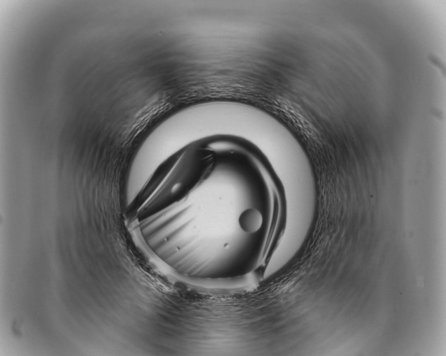 X0000094420696200711291550