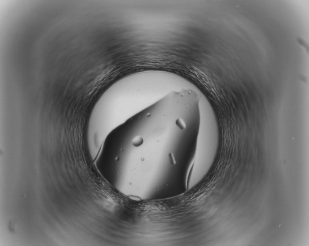 X0000094420697200711291550