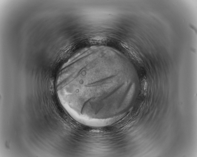 X0000094420699200711291550