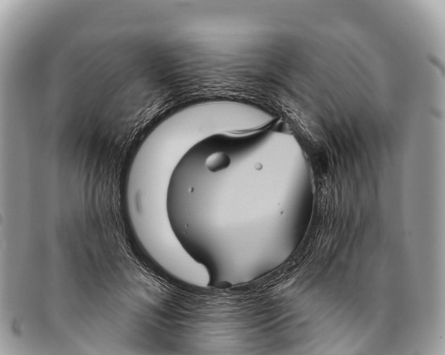 X0000094420700200711291550