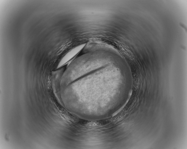 X0000094420704200711291550