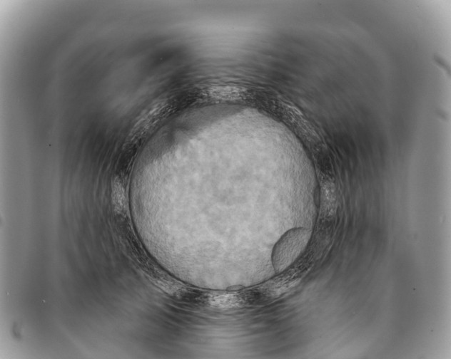 X0000094420705200711291550