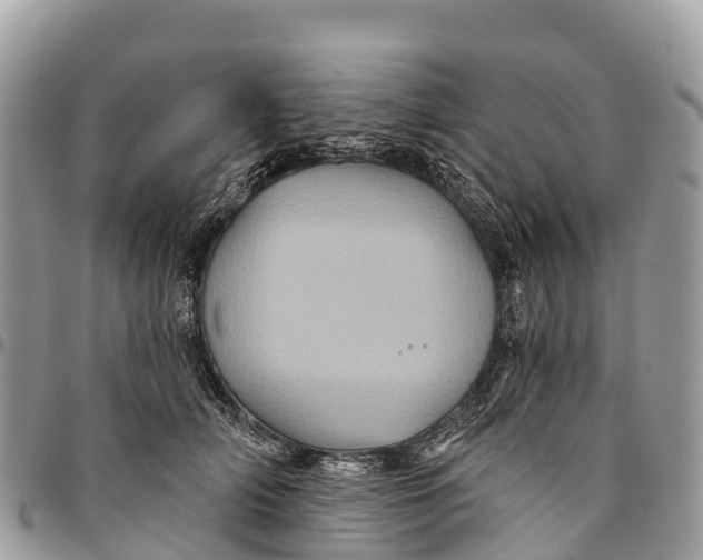 X0000094420706200711291550