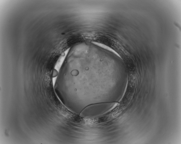 X0000094420707200711291550